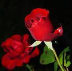 a:1:{s:2:"it";s:4:"ciao";}