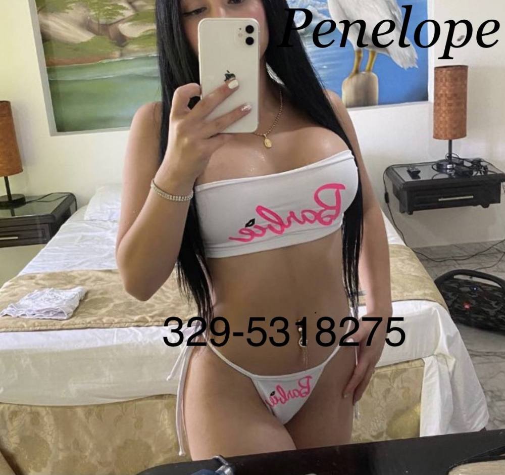 PENELOPE
