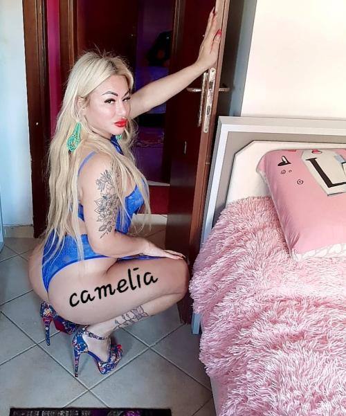 OSTIA LIDO📍CAMELIA -NEW NEW NEW💚 TOP TRANS 💚 CLASSE, RAFFINATA E TRASGRESSIVA X INCONTRI DI PIACERE !🔥A/P🔥FUCILE CARICO DI LATTE
