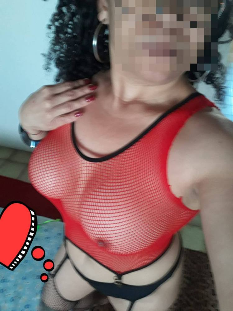 Melissa mexicana
